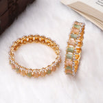 Dailywear Set of 2 Pastel Meenakari Bracelets | Lightweight Kada Bangles | Ethnic Indian Jewelry