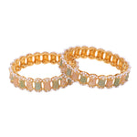 Dailywear Set of 2 Pastel Meenakari Bracelets | Lightweight Kada Bangles | Ethnic Indian Jewelry